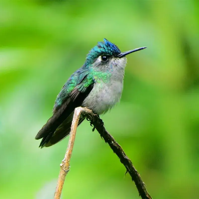 Nature Reserves In Costa Rica