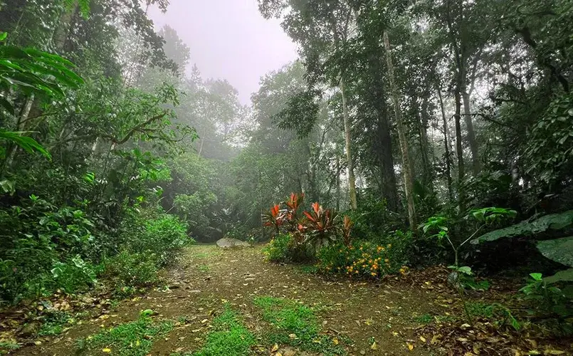 Turrialba lodge