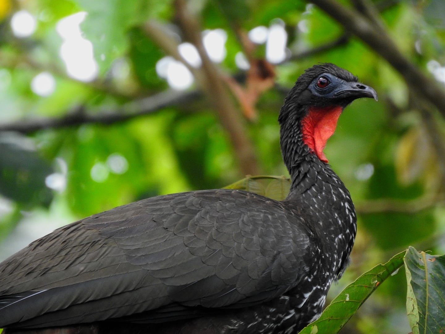 WhatsApp Image 2026-04-08 at 12.26.05 PM (2)