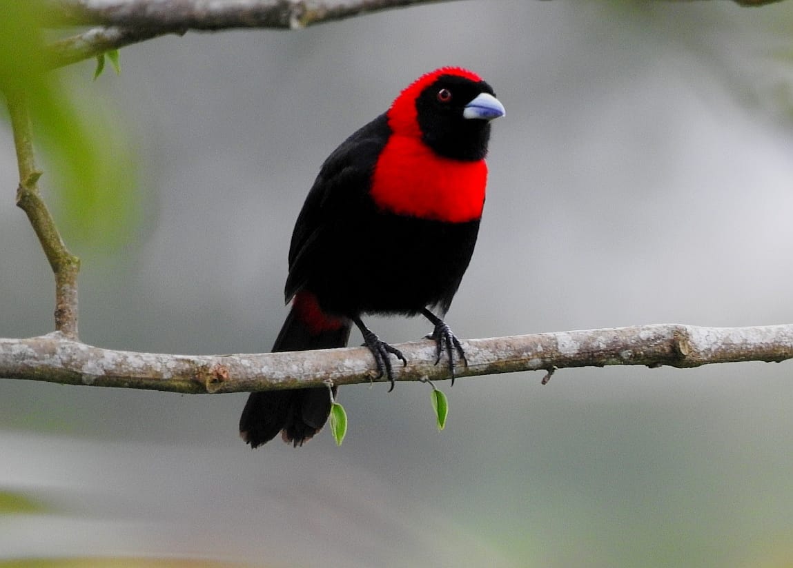 WhatsApp Image 2026-04-08 at 12.26.05 PM (3)