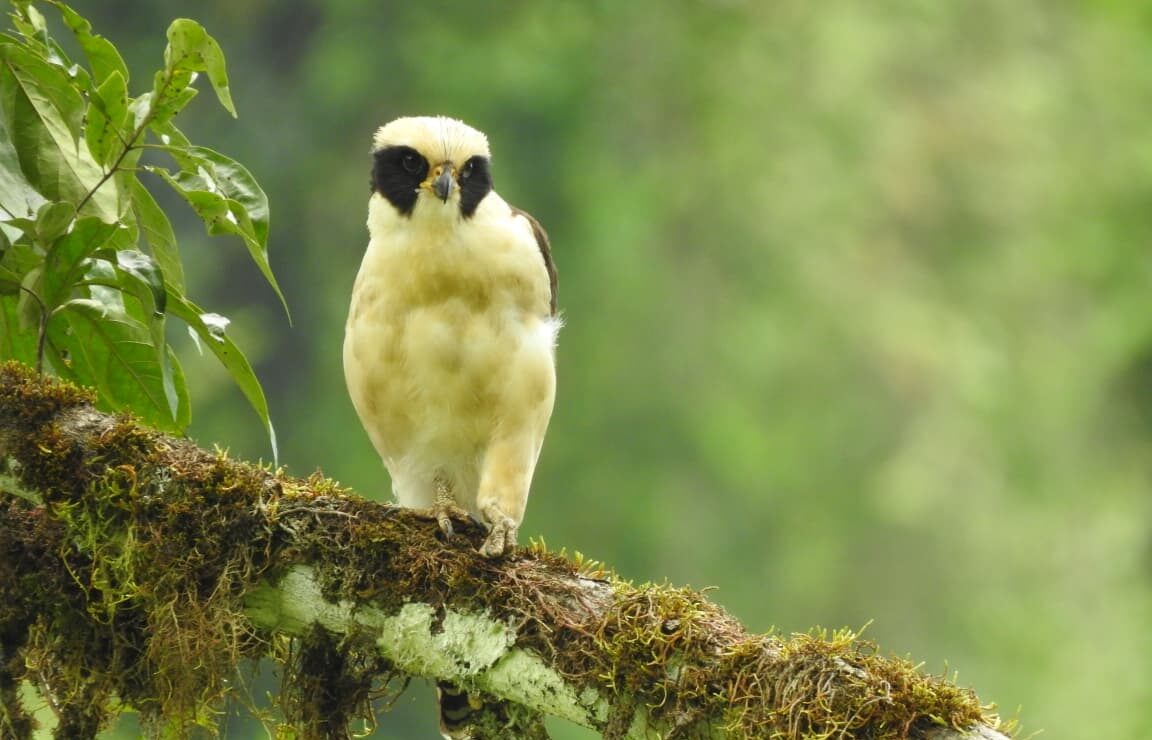 WhatsApp Image 2026-04-08 at 12.26.05 PM (4)