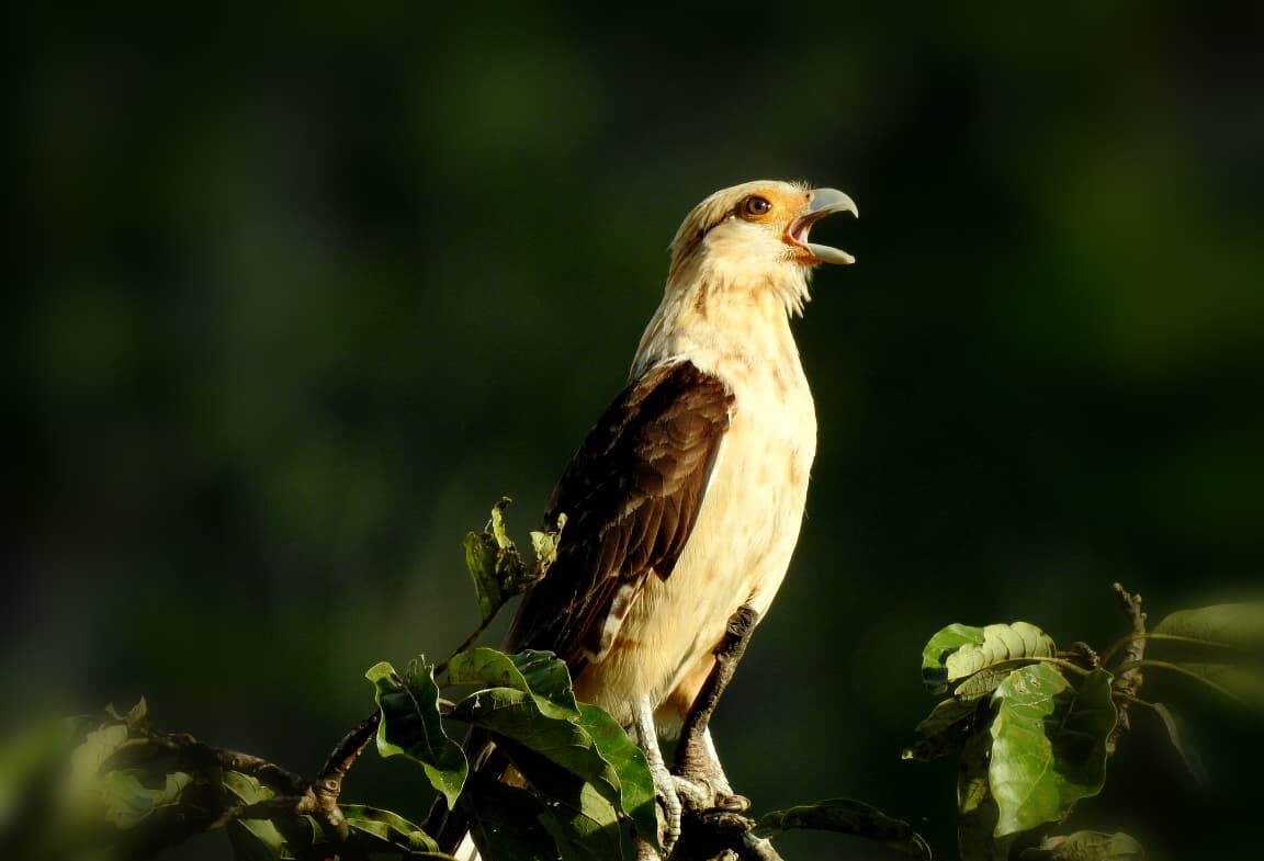 WhatsApp Image 2026-04-08 at 12.26.05 PM (5)