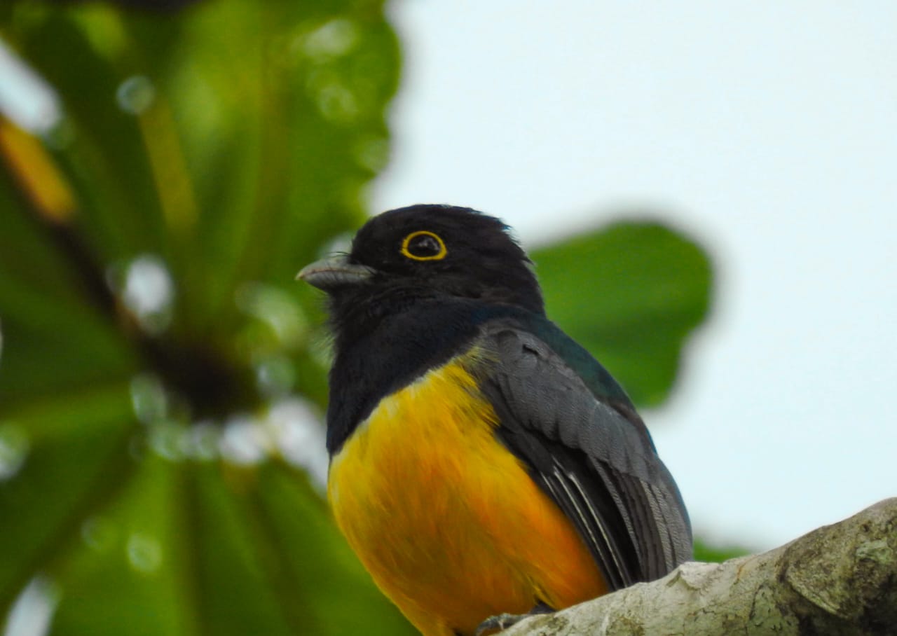 WhatsApp Image 2026-04-08 at 12.26.05 PM