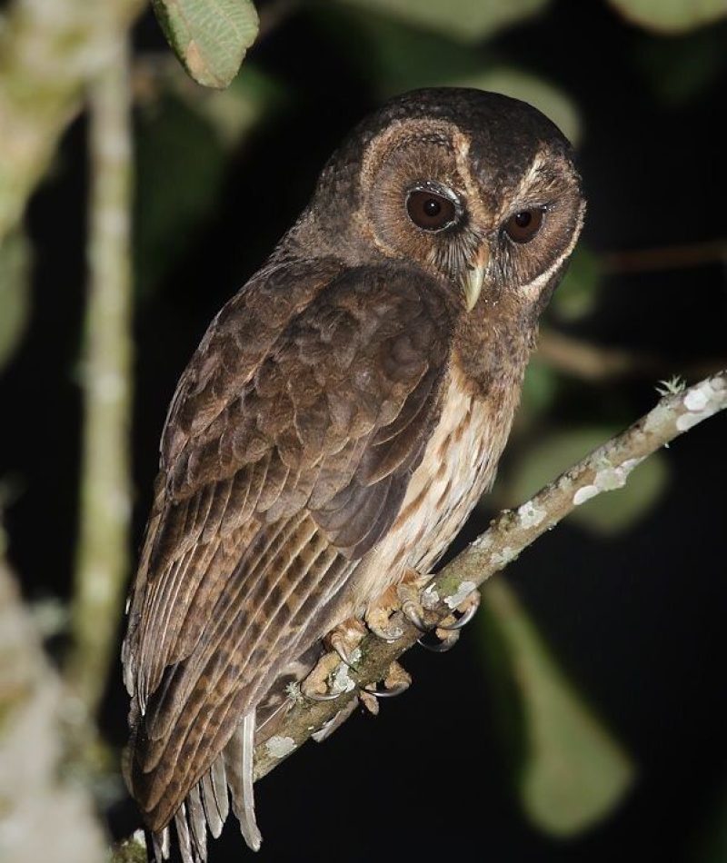 WhatsApp Image 2026-01-29 at 9.34.50 PM